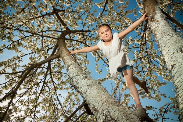 Linda niña jugando en el árbol a principios de primavera —  Fotos de Stock