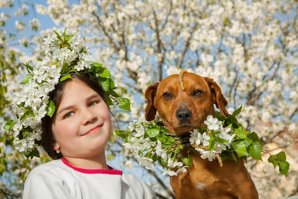 Aranyos kis lány, barna kutyájával — Stock Fotó