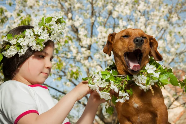 Petite fille mignonne avec son chien brun — Photo