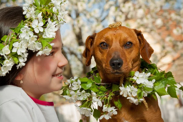 Carino bambina con il suo cane marrone — Foto Stock