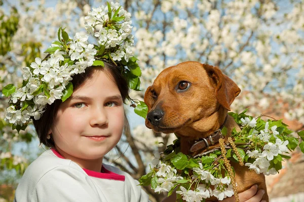 Schattig klein meisje met haar bruine hond — Stockfoto