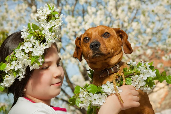 Petite fille mignonne avec son chien brun — Photo