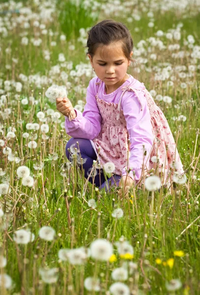 Niña con diente de león — Foto de Stock