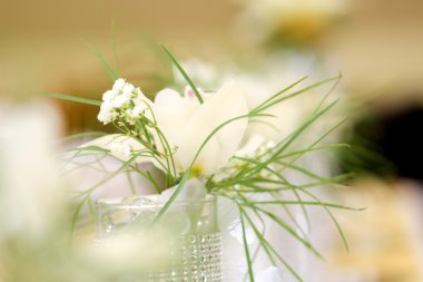 Düğün dekorasyon çeşitli gölgede