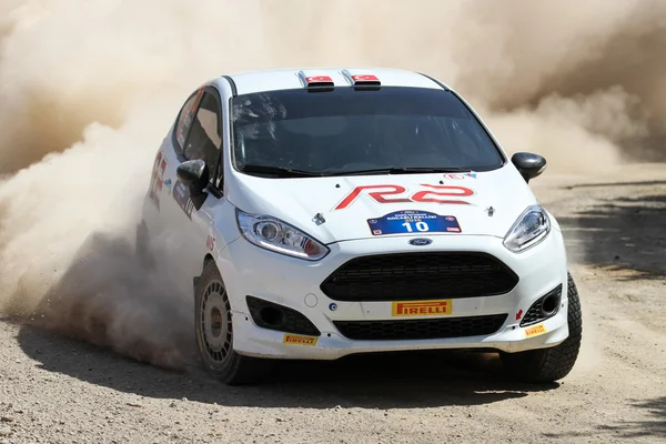 Rally di Kocaeli 2016 — Foto Stock