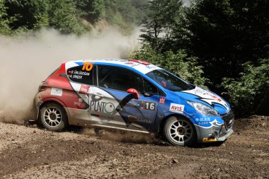 Kocaeli Rallisi 2016