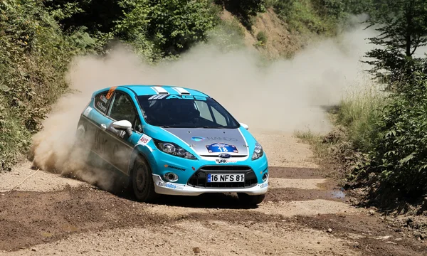 Rally di Kocaeli 2016 — Foto Stock