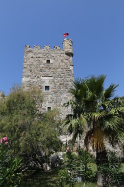 Hindideki sahte şato