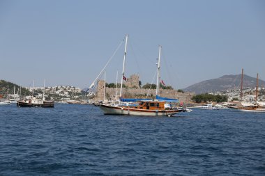 Hindideki sahte şato