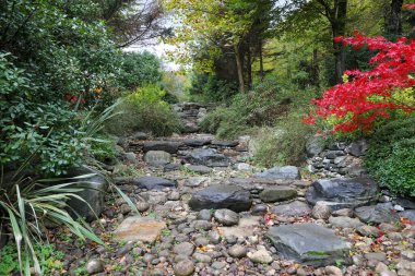 Sonbahar mevsiminde dere yatağı ve orman