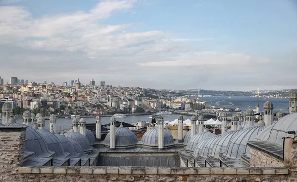 Suleymaniye Bath Roofs Bosphorus Strait Istanbul City Turkey — Stock fotografie