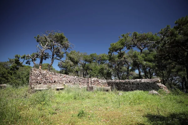 Stenmur Skog Buyukada Istanbul City Turkiet — Stockfoto