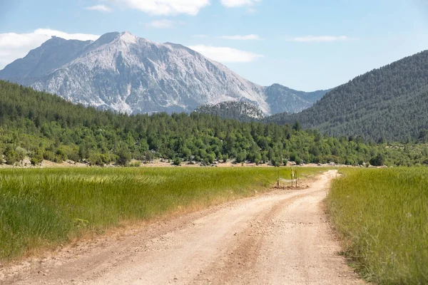 Mounth Tahtali Verkar Mellan Gröna Vetefält — Stockfoto