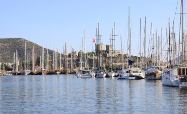Bodrum Marina'ya