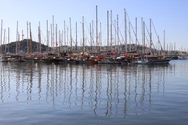 Bodrum Marina'ya