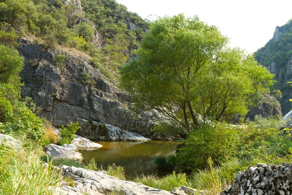 Cañón Ballikayalar —  Fotos de Stock