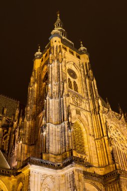 St. Vitus Katedrali, Prag, Çek Cumhuriyeti