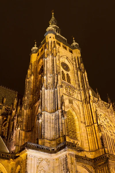 St. Vitus Katedrali, Prag, Çek Cumhuriyeti