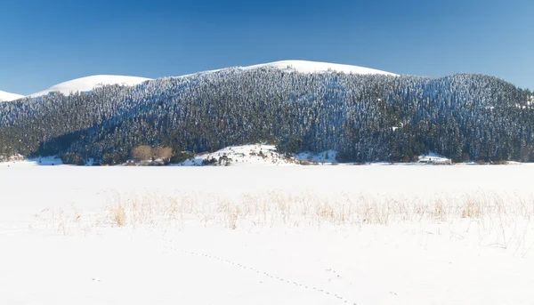 Abant sjö, bolu, Turkiet — Stockfoto