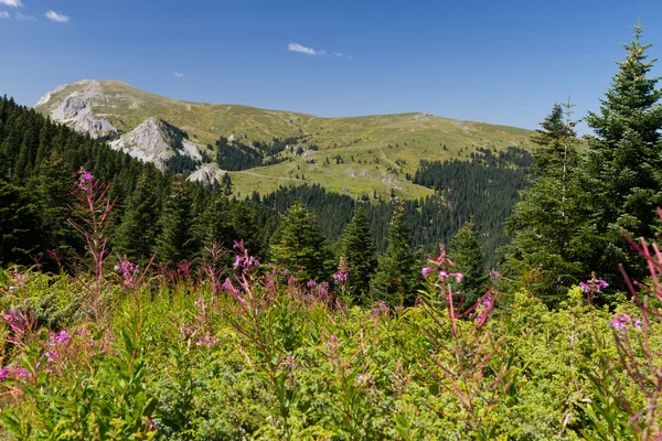 Montañas Ilgaz, Kastamonu, Turquía — Foto de Stock