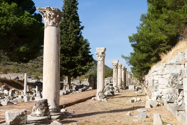 Ephesus, Truthahn — Stockfoto