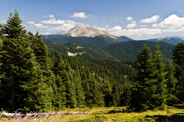 Montañas Ilgaz, Kastamonu, Turquía — Foto de Stock