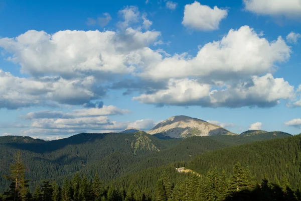 Ilgaz gebirge, kastamonu, truthahn — Stockfoto