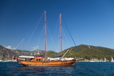 yelkenli 