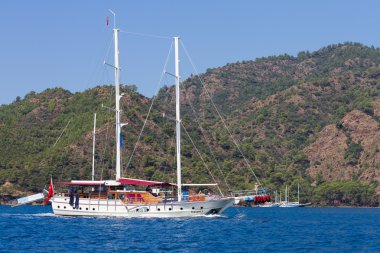 yelkenli 