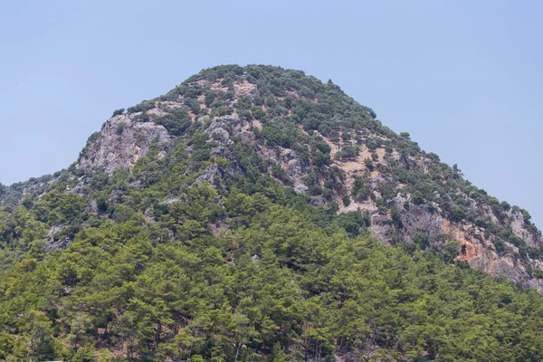 Bir tepe — Stok fotoğraf