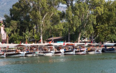 Teknelerle Dalyan nehir