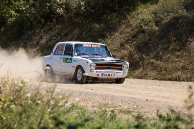 Avis Boğaziçi Rallisi