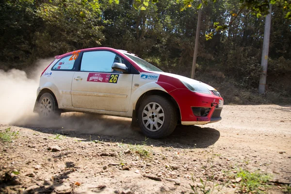 Avis Bosporus Rally – stockfoto