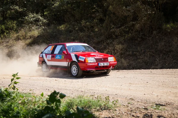 Avis Rally del Bosforo — Foto Stock