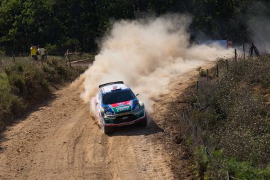 Avis Boğaziçi Rallisi