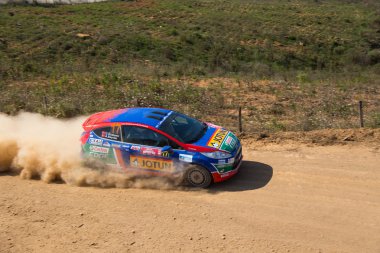 Avis Boğaziçi Rallisi