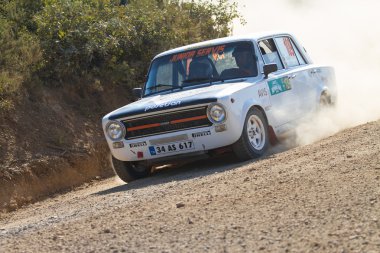 Avis Boğaziçi Rallisi