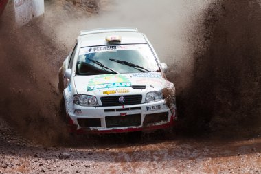 Avis Boğaziçi Rallisi