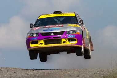 Avis Boğaziçi Rallisi