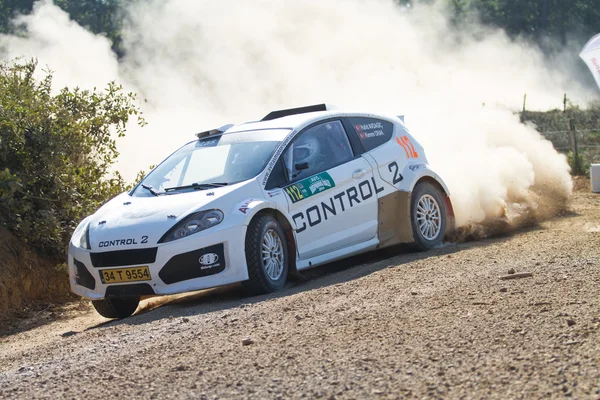 Avis Rally del Bosforo — Foto Stock