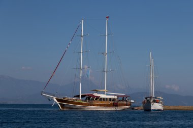 Yelkenliler