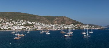 Bodrum şehir