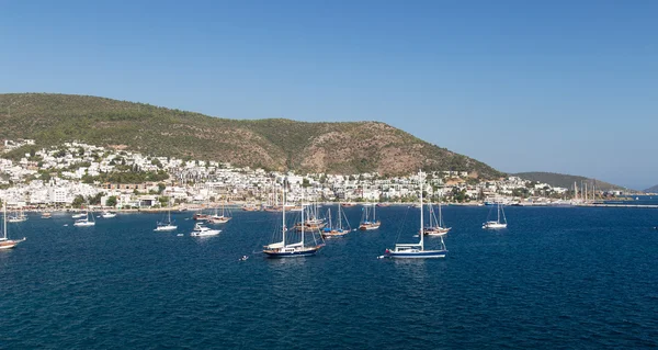 Bodrum şehir