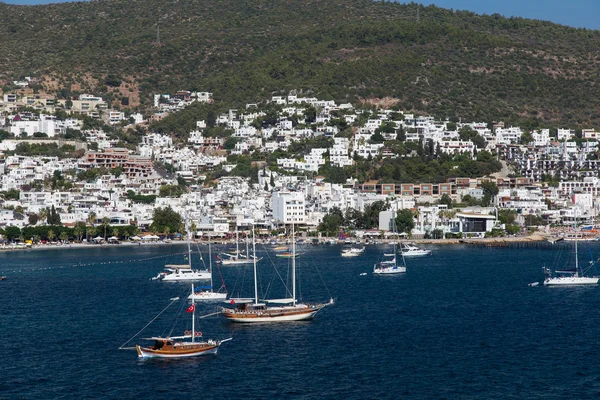 Bodrum şehir