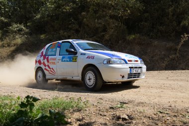 Avis Boğaziçi Rallisi