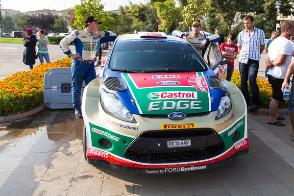 Avis Rally del Bosforo — Foto Stock