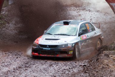 Avis Boğaziçi Rallisi