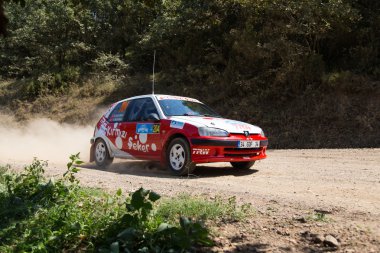 Avis Boğaziçi Rallisi