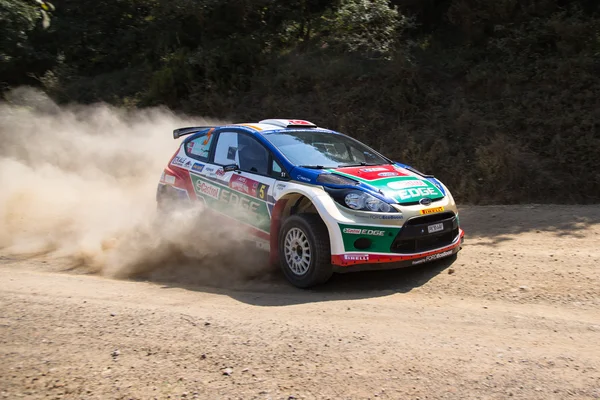 Avis Rally del Bosforo — Foto Stock