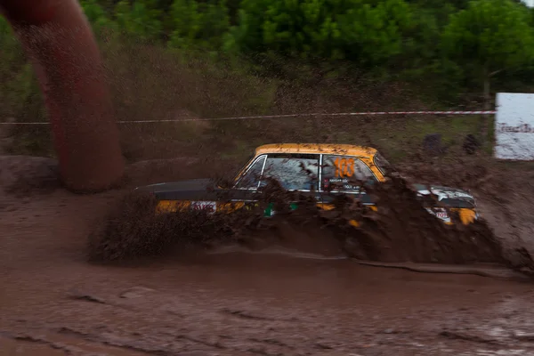 Avis Boğaziçi Rallisi